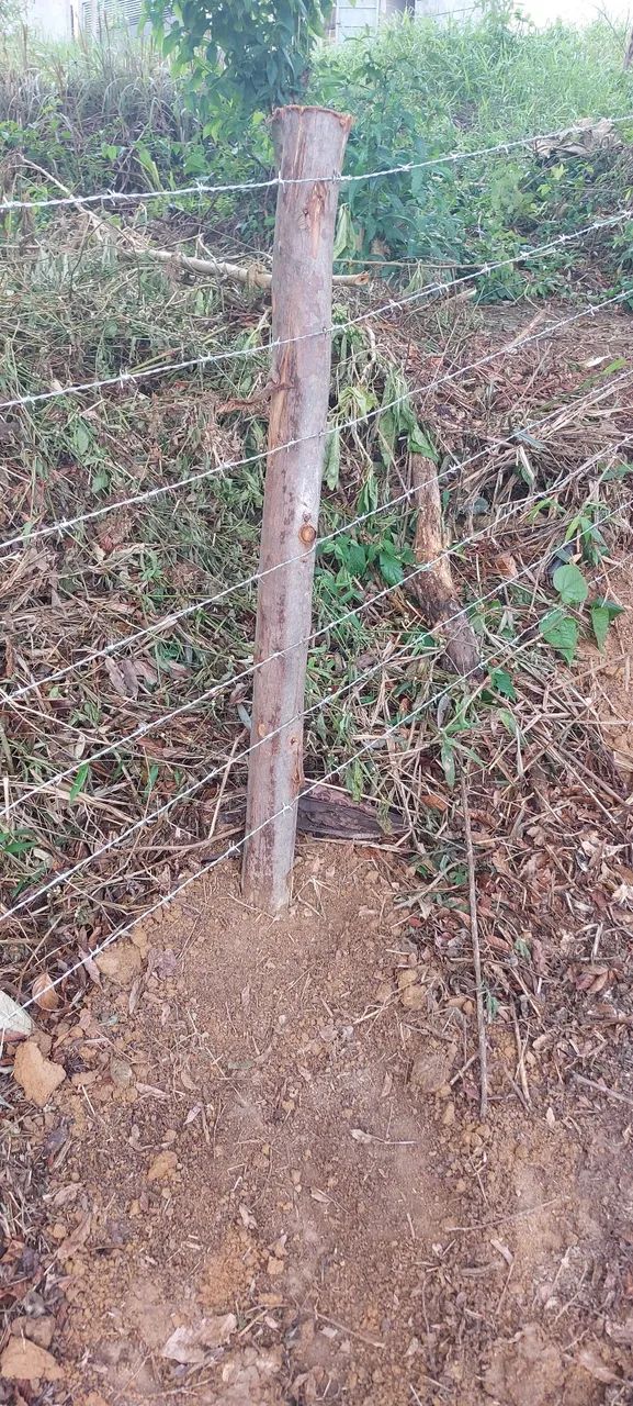 Lote a venda - Foto 5