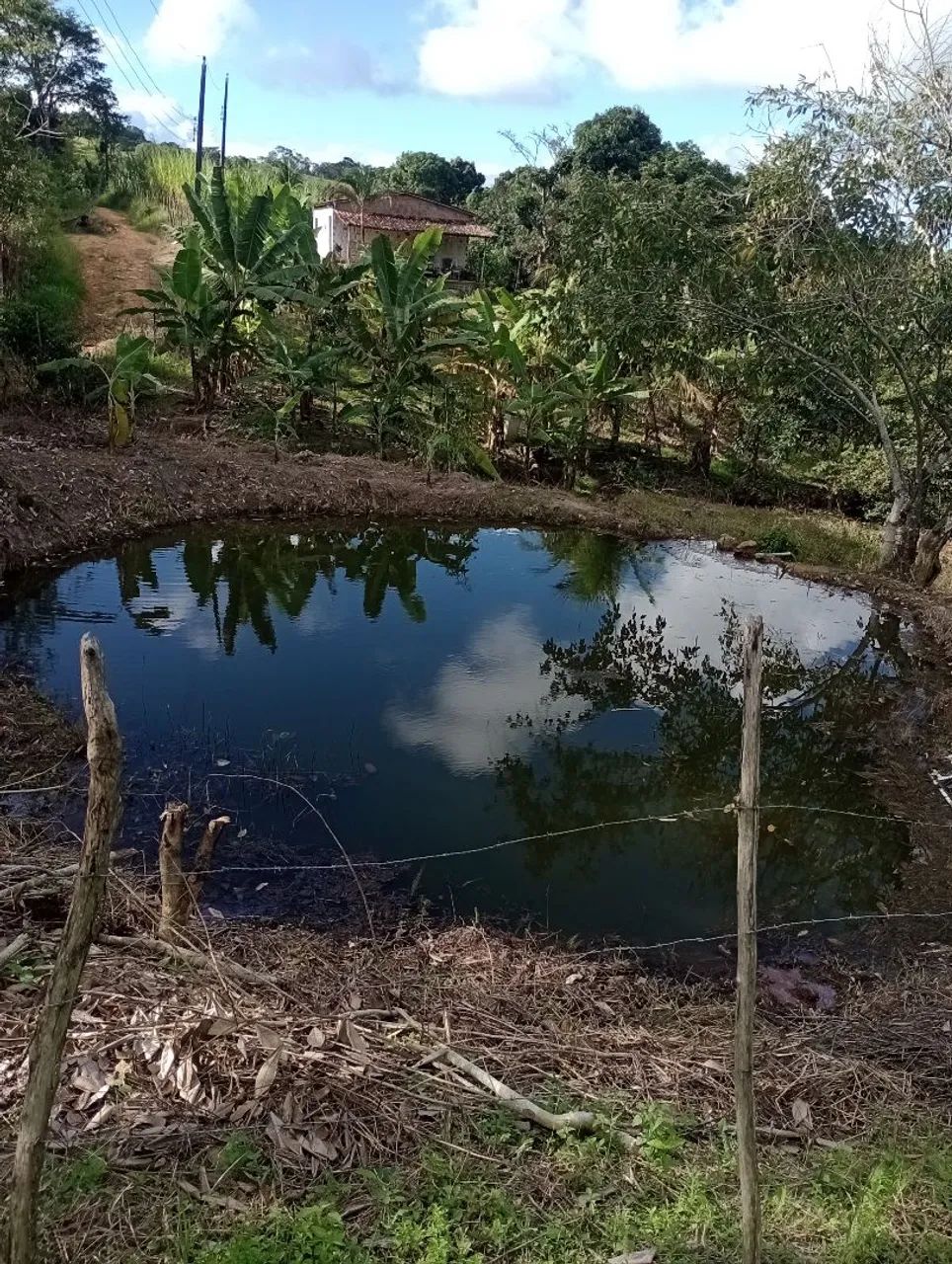 Sitio