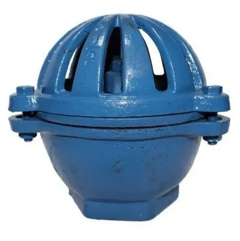 Válvula Sucção Cebola Pé de Ferro Fundido azul - 6" polegadas