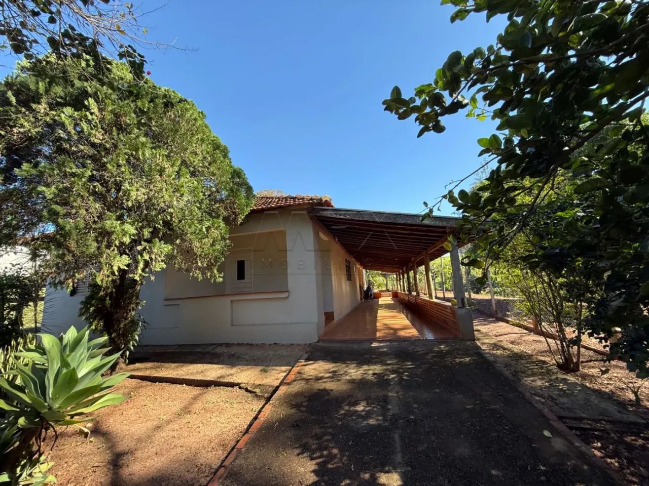 Sítio à venda - Bariri -SP - Foto 3