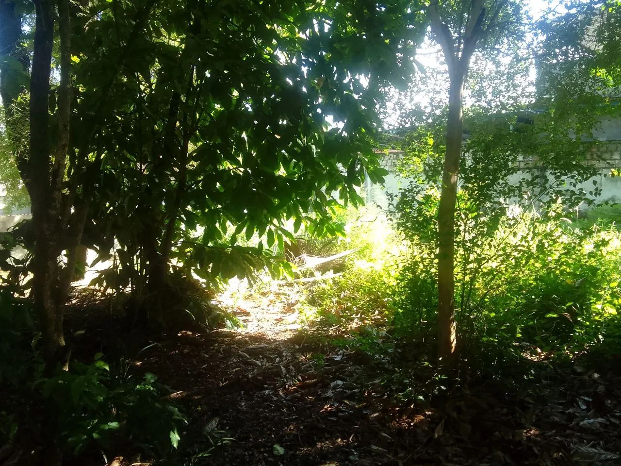 Terreno 18 - Foto 4