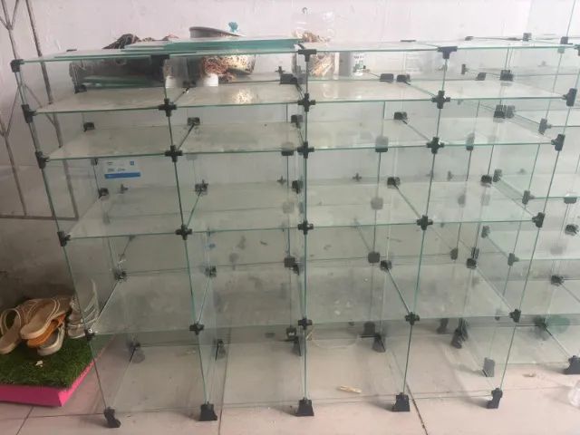 Vitrine de vidro - Foto 2