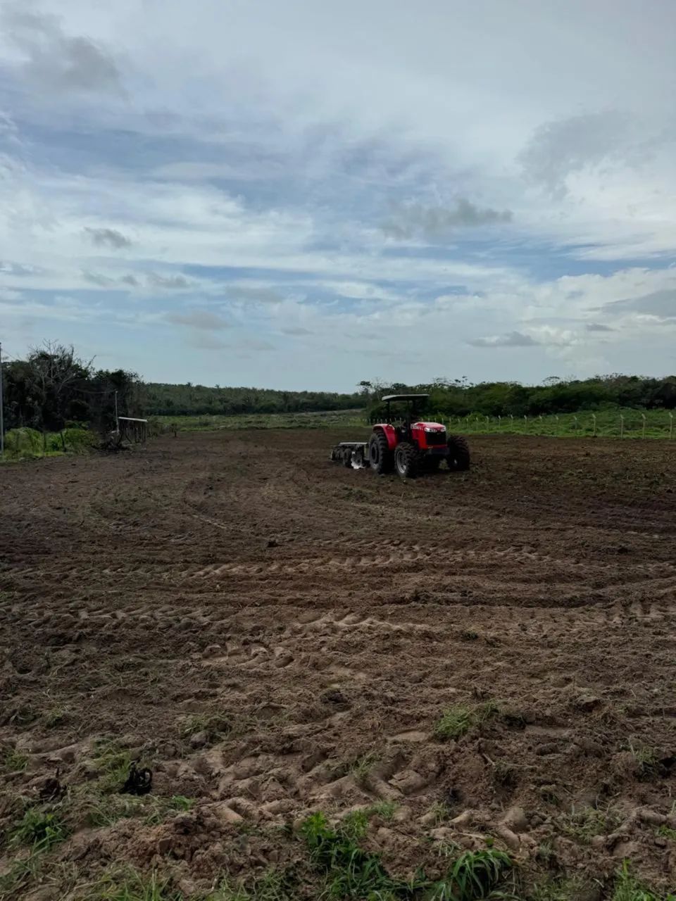 Terreno, Sítio todo documentado Iguaiba. - Foto 4