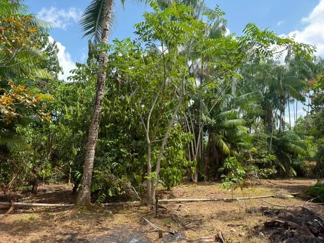 VENDE-SE TERRENO 30x80m - Foto 4