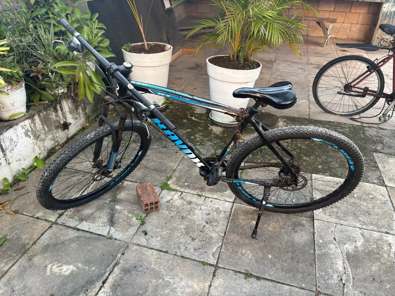 Bicicleta 