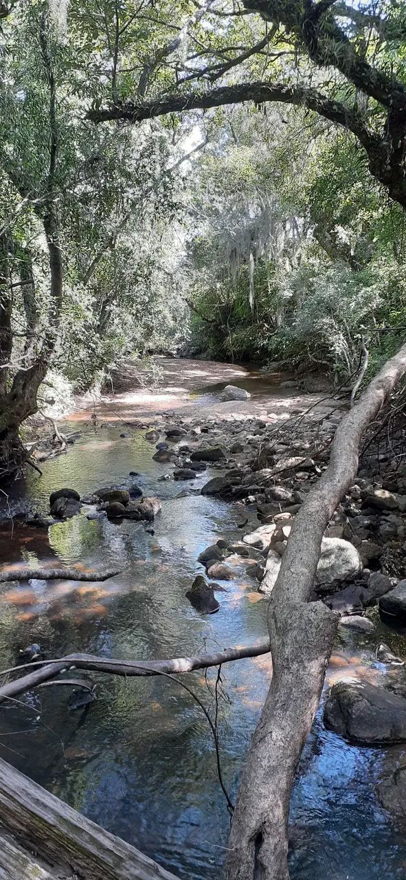 Sitio lixiguana - Foto 2