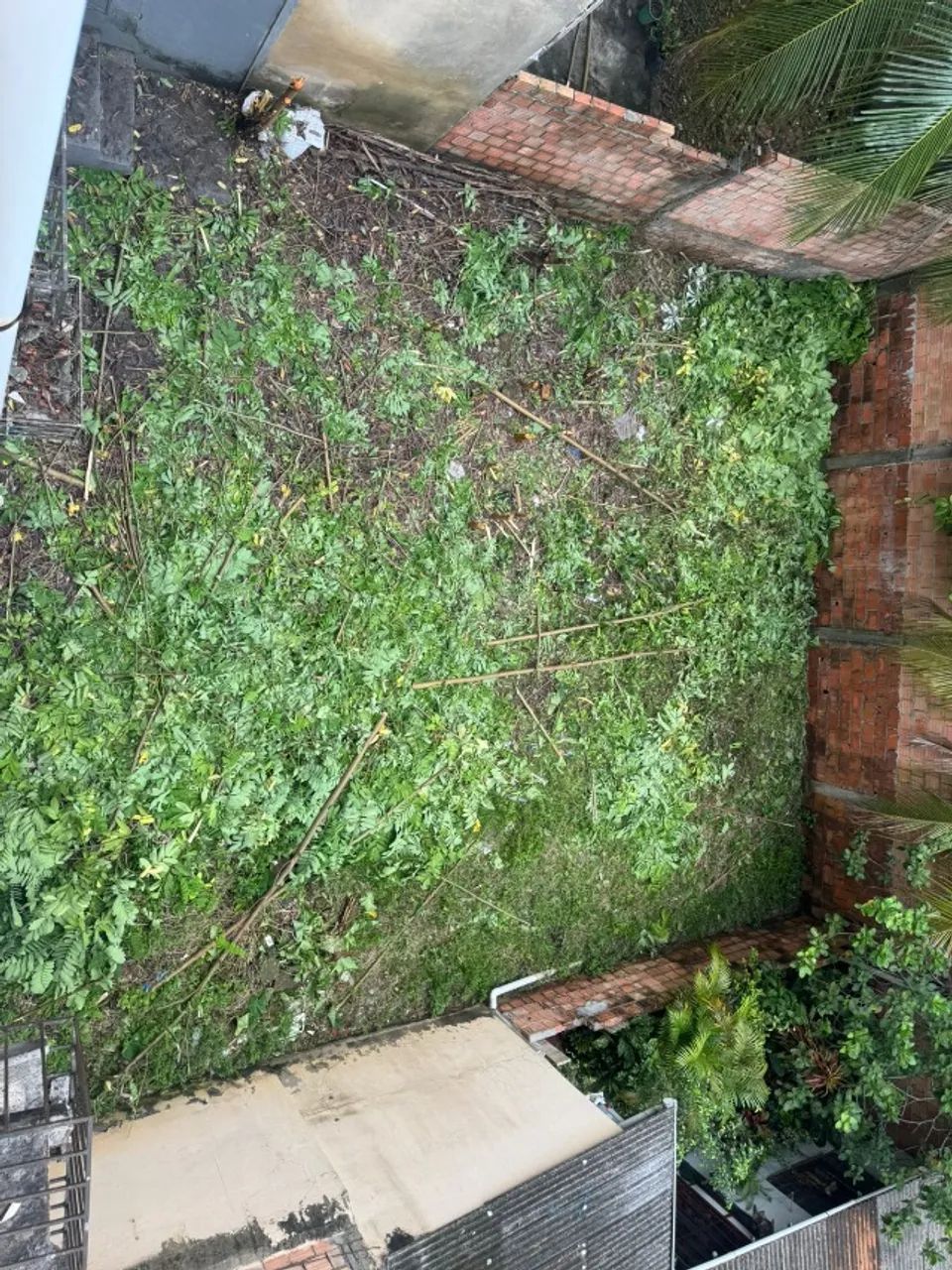 Vendo ou Alugo Prédio Comercial com 3 Pisos e 7 salas ótimo para Clinicas em Avenida - Foto 2