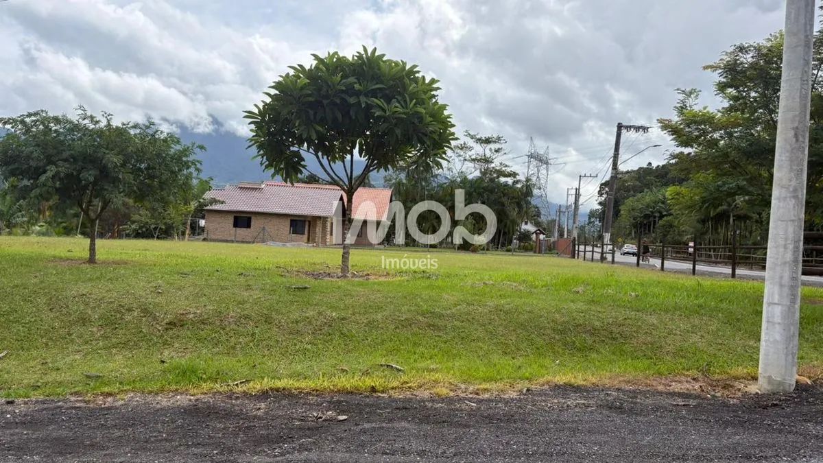 LOTE/TERRENO, SCHOREDER