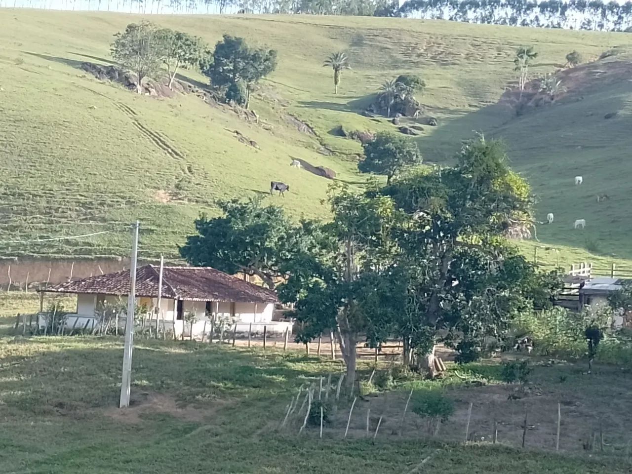 Vende-se sítio 17 hectares 300.000 - Foto 4