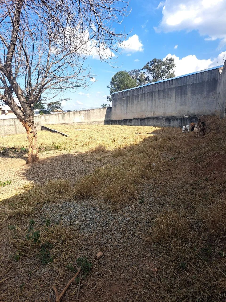 Terreno Bairro Enseada das Garças BH - Foto 2