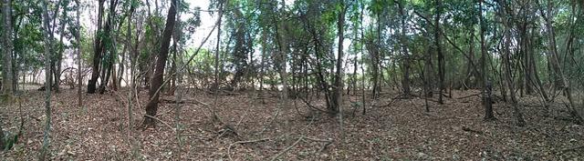 Chácara Aragoiânia, 14,65 alqueires, (71,71 hectares), - Foto 14