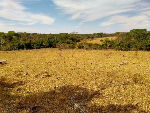 Chácara Aragoiânia, 14,65 alqueires, (71,71 hectares), - Foto 16