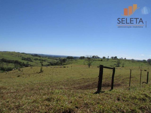 Fazenda- Venda- 8km da BR 277 - Foto 14