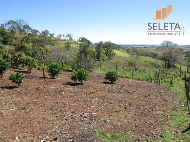 Fazenda- Venda- 8km da BR 277 - Foto 12