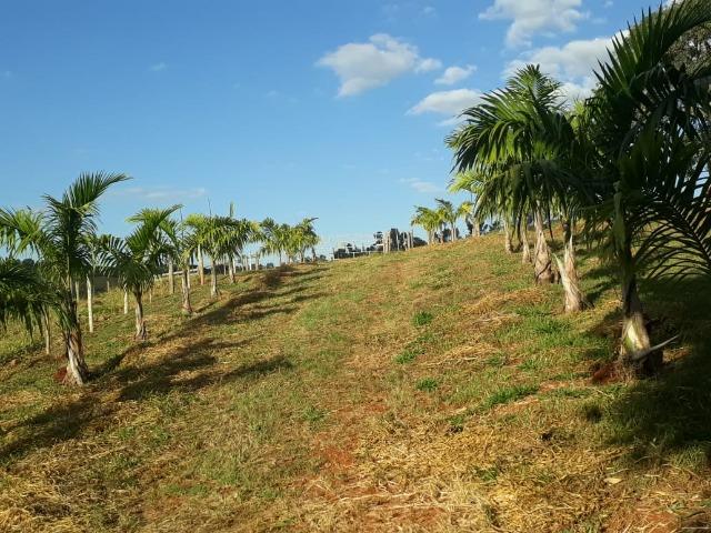 Excelente sítio de 8,64 hectare em Ponto Chic (Patos de Minas/MG) - Foto 16