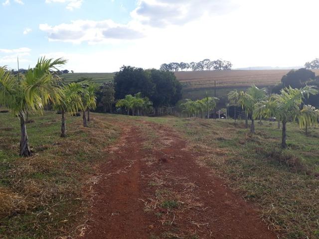 Excelente sítio de 8,64 hectare em Ponto Chic (Patos de Minas/MG) - Foto 9