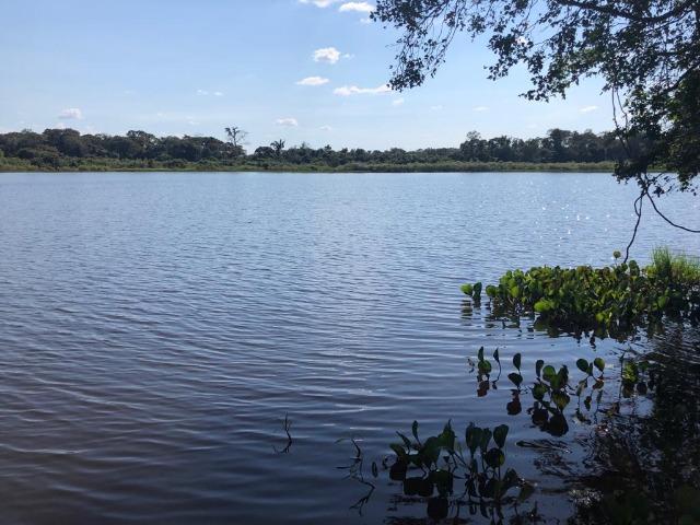 Chacara em Sto Antonio Leverger 110metros de Beira de Rio C/Tanque de Peixes Arvores Fruti - Foto 13