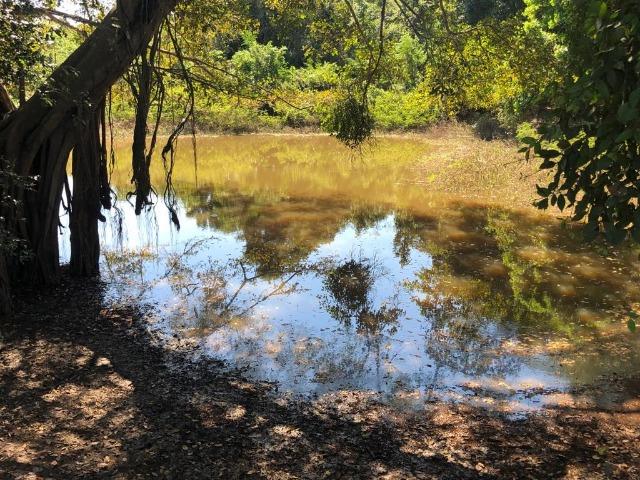 Chacara em Sto Antonio Leverger 110metros de Beira de Rio C/Tanque de Peixes Arvores Fruti - Foto 2