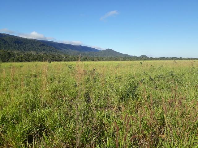 Fazenda 785 hectares ha 65 km de Jangada