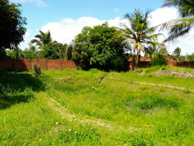 Sitio ótimo para morar e produzir ! - Foto 14