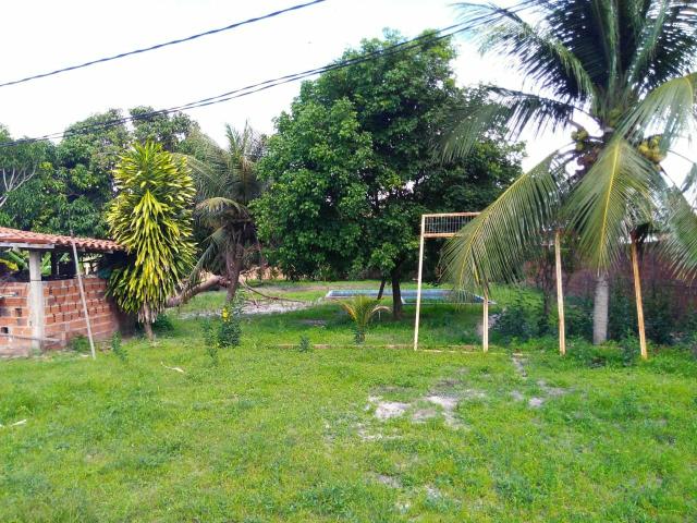 Sitio ótimo para morar e produzir ! - Foto 10