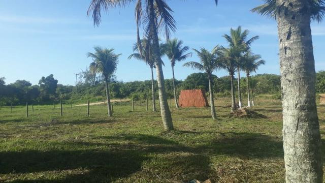 LCód -138 * Terrenos Próximo ao Trevo de Búzios. !! - Foto 2