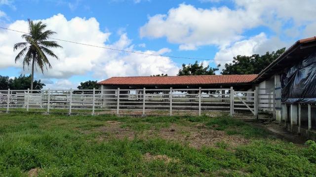 Fazenda em Monte Alegre - Com 80,52 Ha -Com Açude - Foto 11