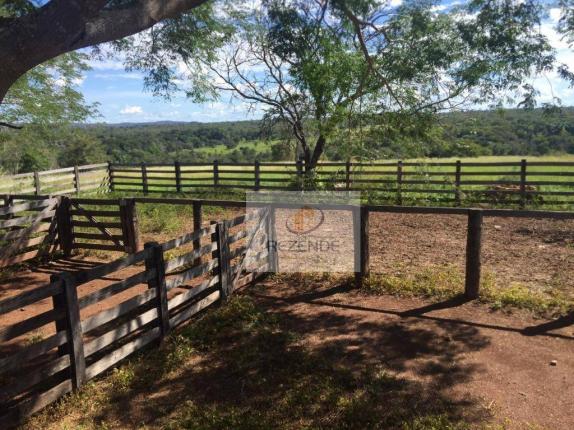 Fazenda com - 88 alqueires - R$ 3.000.000 - Miracema do TO. - Foto 16