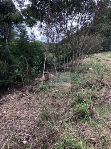 Terreno à venda, 820 m² por r$ 120.000 - Foto 2
