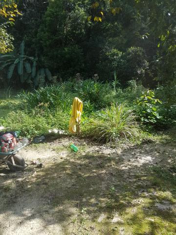 Terreno - Foto 4