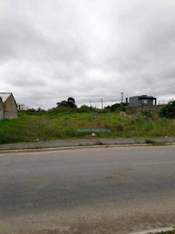 Terreno residencial à venda, afonso pena, são josé dos pinhais. - Foto 2