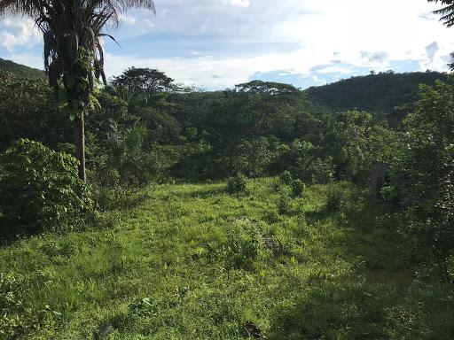 Sítio 26 hectares região da serra são vicente - Foto 11