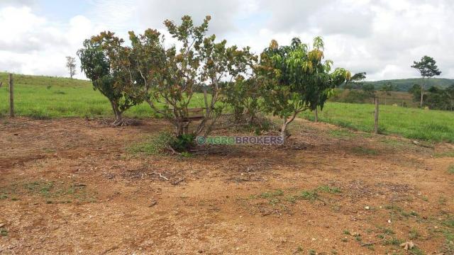 Sítio 19,5 ha em serra de são vicente - Foto 3