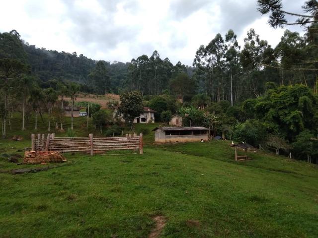 Lindo sítio em Itaiópolis - Foto 2