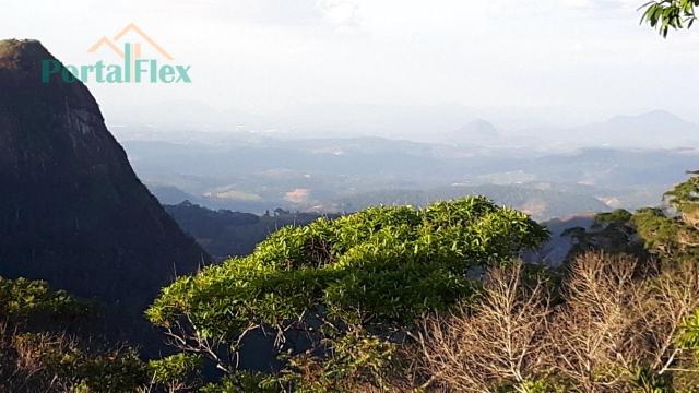 Sítio à venda com 0 dormitórios em Zona rural, Santa teresa cod:4229 - Foto 7
