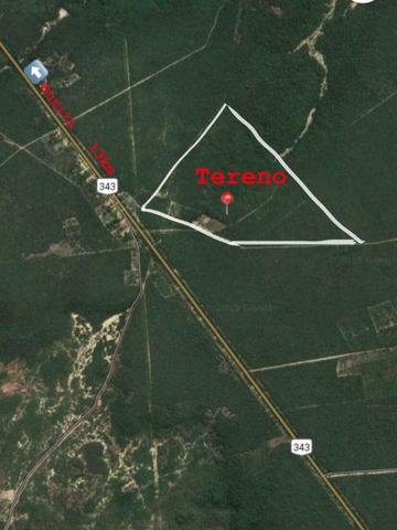 Sítio de 60Hectares a 13Km da Cidade do Buriti dos Lopes. (140mil) - Foto 3