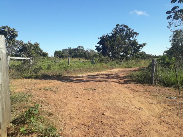 Fazenda em Rosário Oeste com 784 Hectares - Foto 18
