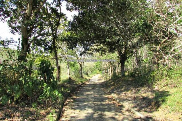 Fabio Paes Imóveis - Fazenda 28 alq - luxo - Oportunidade!!! - Foto 8