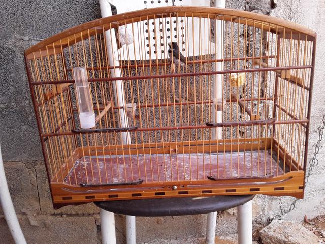 Voador semi novo 200 - Foto 2