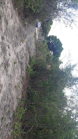 Terreno muinto bom