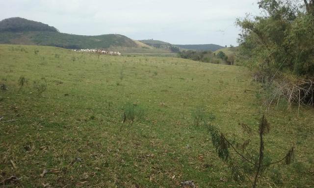 Terreno - Foto 4