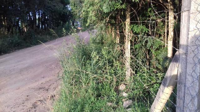 Chácara em Campestre da Faxina -São José dos Pinhais-R$190.000,00 - Foto 7