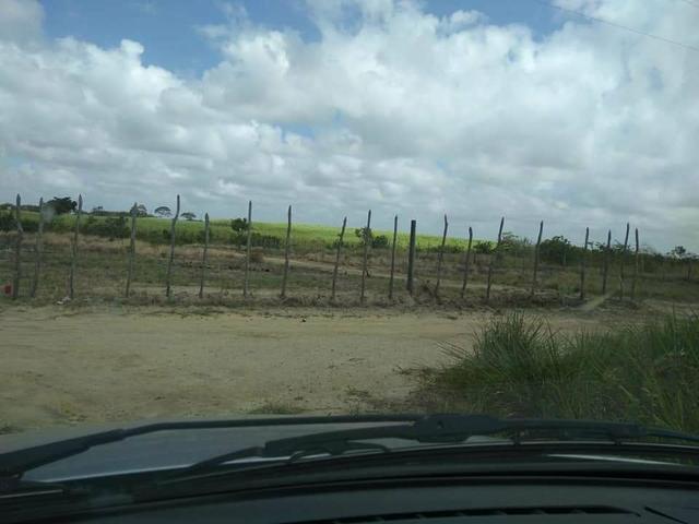 Imbatível terreno na praia de ponta de pedras!! - Foto 2