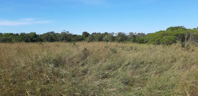 Fazenda - Foto 6