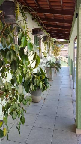 Casa à venda com 4 dormitórios em Padre eustáquio, Belo horizonte cod:2495 - Foto 10