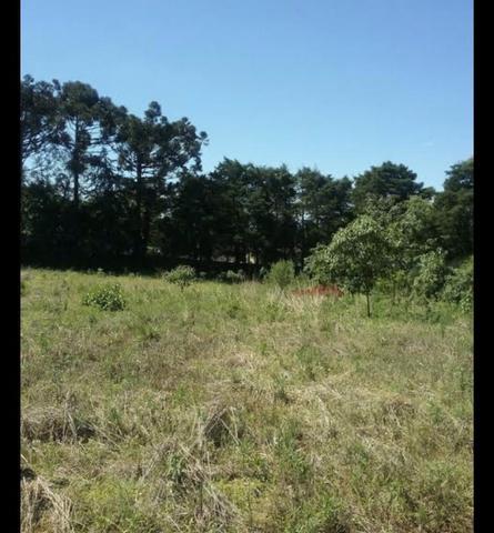 Bairro Areal da Floresta Terreno 11 x 25 mts Bairro Areal da Floresta