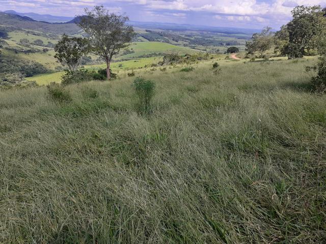 Arrenda -Fazenda Agricultura e Pecuária- - Foto 13