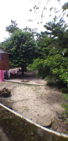 Sítio Riozinho - Estrada de Ribamar - Foto 2