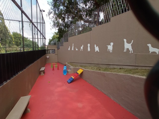 apartamento de 03 dormitórios com 01 vaga. - Foto 5