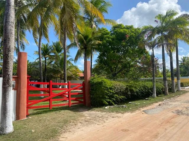 *Vendo chácara na Barra de Santo Antônio.  - Foto 4